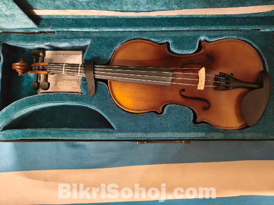 Valencia 4/4 Violin 4 strings